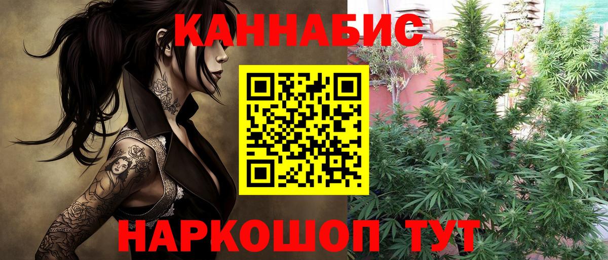 Канабис сатива  Бошки марихуана OG Kush  Каннабис индика  Вход с VPN  Волгоград 